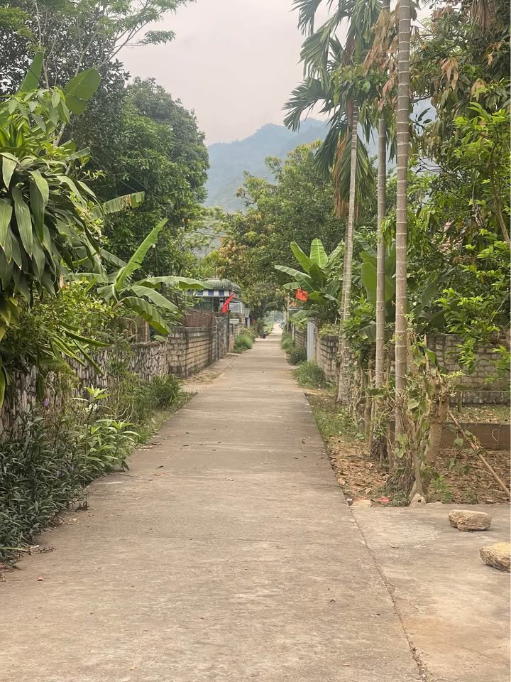 Hanoi to Van Son Cycling Tour 3 Days: Explore the Roof of Muong Bi